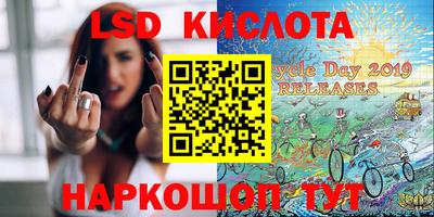 молекула духа Новозыбков