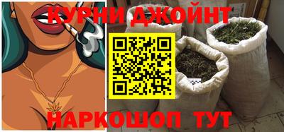 молекула духа Новозыбков