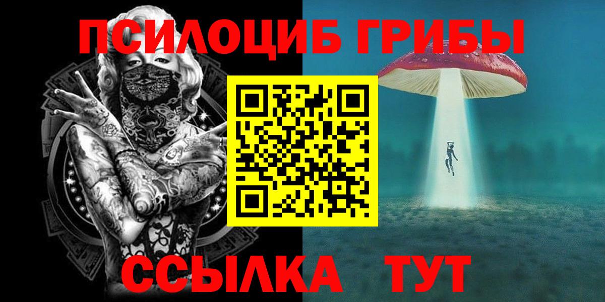 Галлюциногенные грибы прущие грибы  Вход с VPN  Трёхгорный 