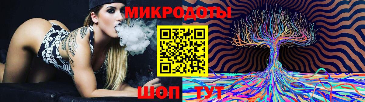Псилоцибиновые грибы Psilocybe Трёхгорный